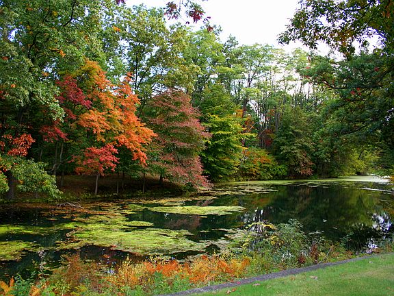 View from north side of home