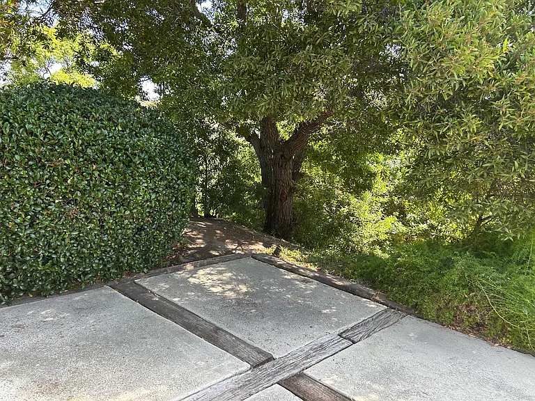 2162 Palmer Dr — Photo 14