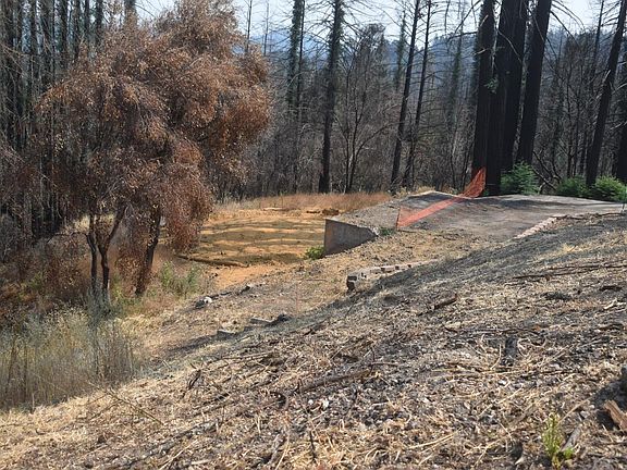 2nd image of 1420 Pinecrest Dr