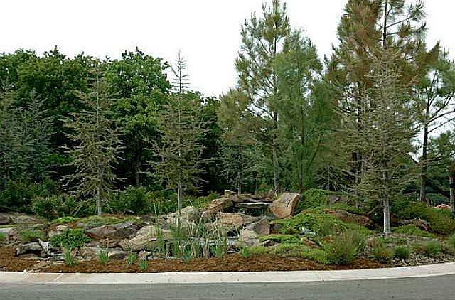 1st image of 7 Lake Of The Woods