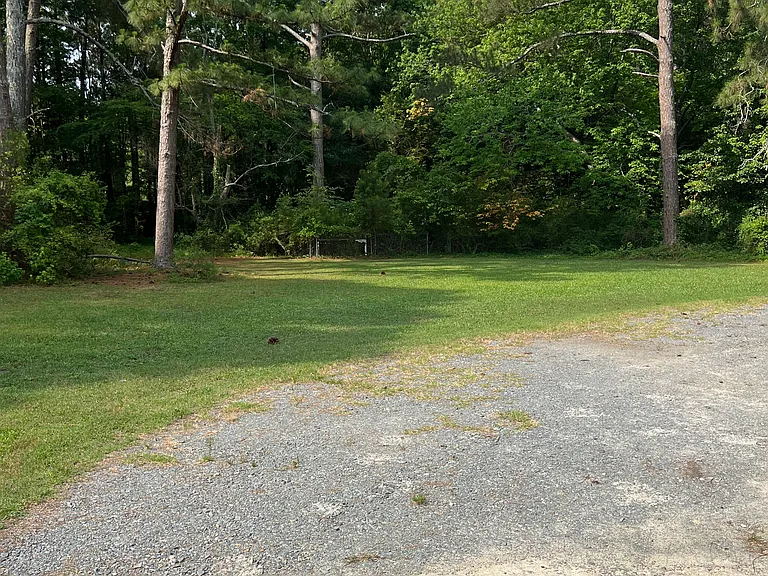 Backyard.