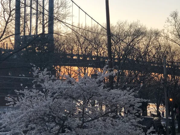 19-19 24th Avenue image 16 of 17