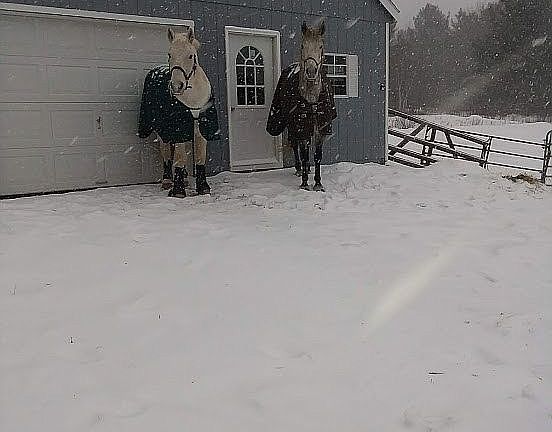 2nd image of 1814 Route 23c