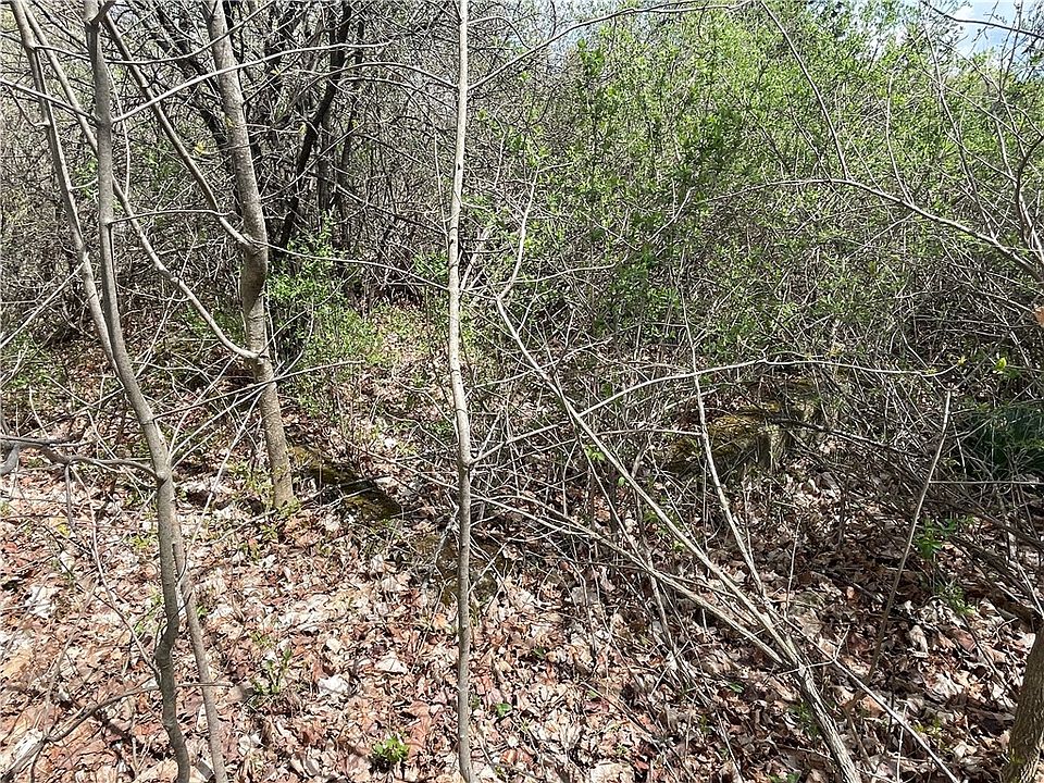 0 Chicken Coop Rd Trumansburg NY Zillow