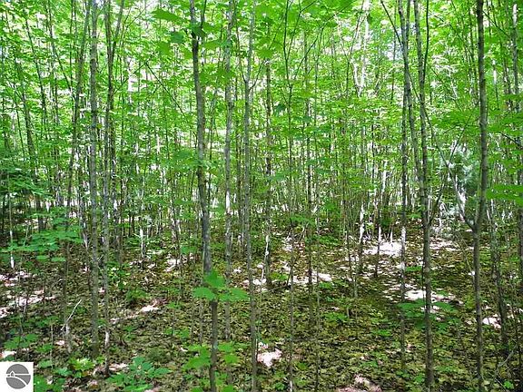 5th image of 5 Acres N Manitou Trl