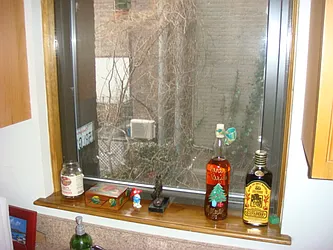 Rented by Prelja Paljusevic, LREB