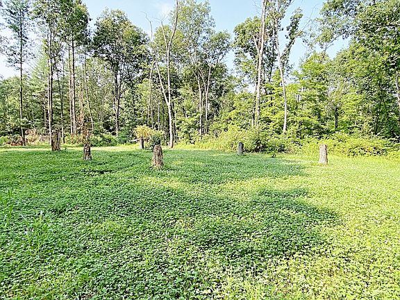 3-acre food plot near the home