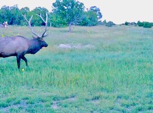 0 Omega Rd, Quemado, NM 87829