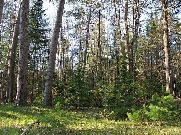 2nd image of 48 Acres Driftwood Pl