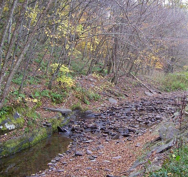 2nd image of 219 Lulu Coon Rd