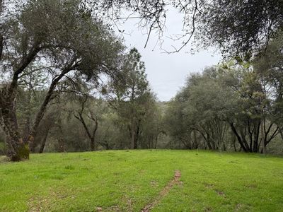282 Tiger Lily Rd, Pilot Hill, CA, 95664