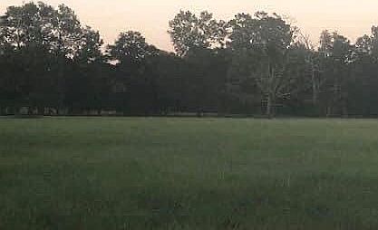 1st image of Critter Cove Ln