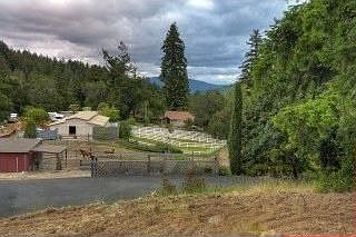 2nd image of 23471 Timmus Ln