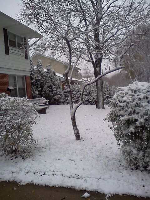 2nd image of 513 Longview Dr