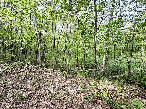 5th image of Lot 2 Peterson Road