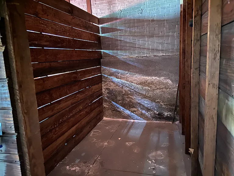 98 Toxteth St #3 — Photo 24