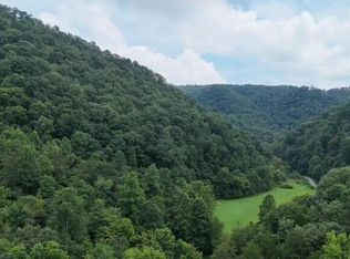 0 Ford Branch Rd, Duffield, VA 24244