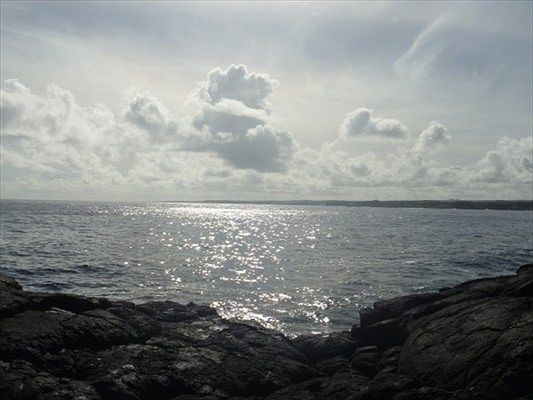 4th image of Paradise Ala Kai Dr Lot 460