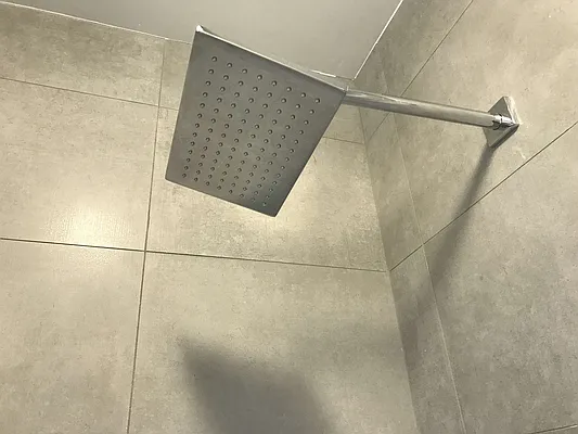 Rented by Zuz Realty | media 21