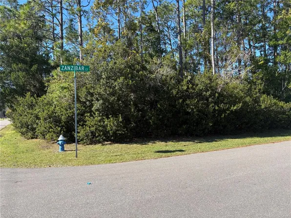 1 ZANZIBAR COURT, PALM COAST, FL 32164