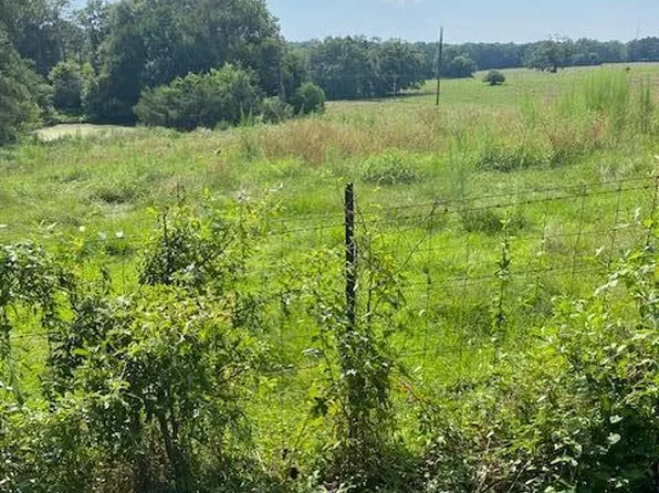 104 County Road 113, Heidelberg, MS 39439