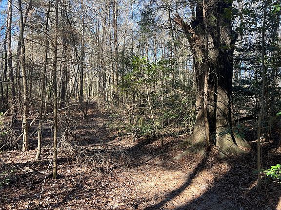2nd image of Fm 161 N