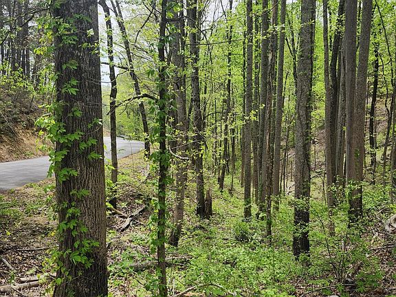 2nd image of LOT 1 Hatcher Mountain Rd