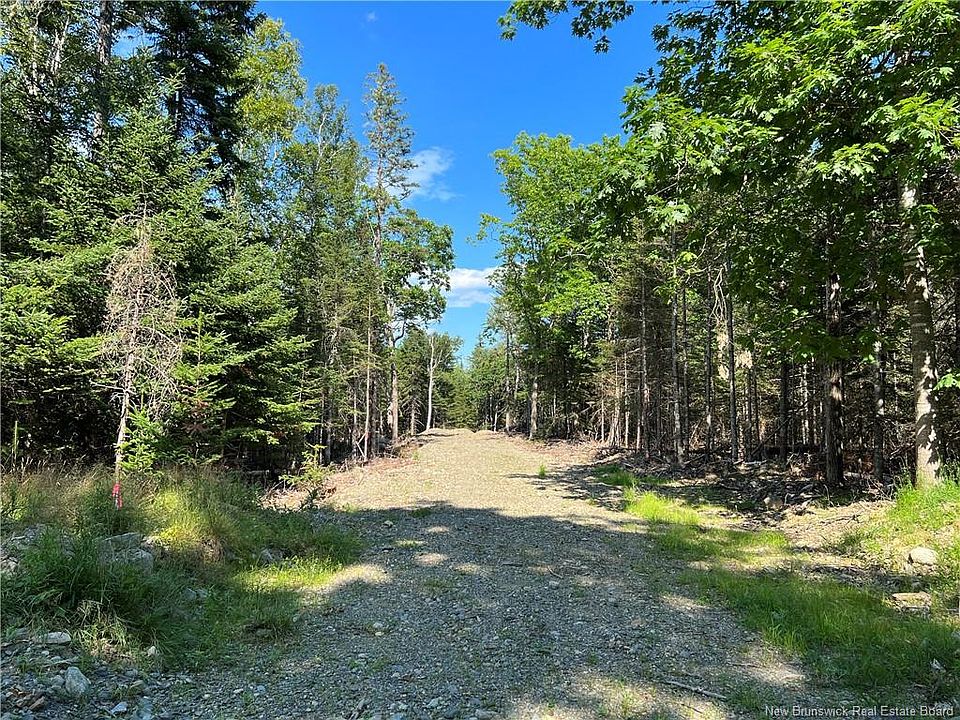 1st image of Hills Point Rd