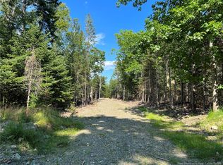 Hills Point Rd, Saint David, NB E3L 4H7