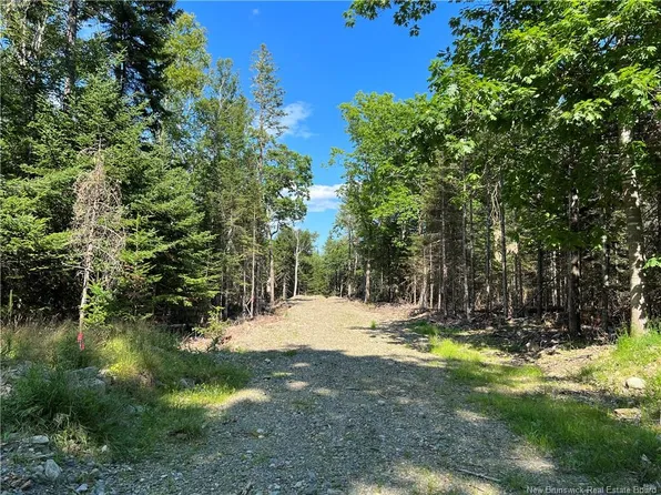 Hills Point Rd, Saint David, NB E3L 4H7