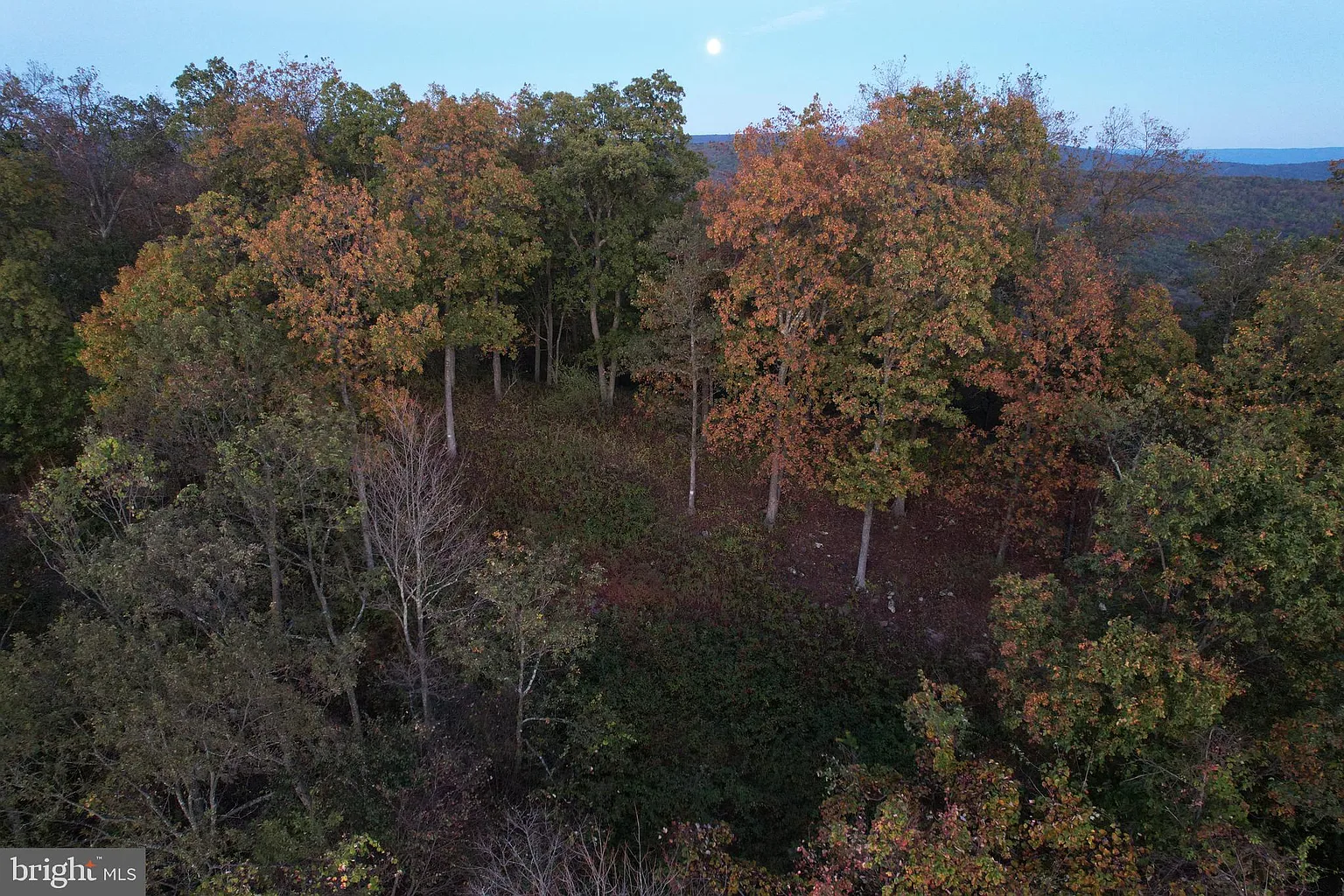 1790 Monroe Mountain Rd photo 1