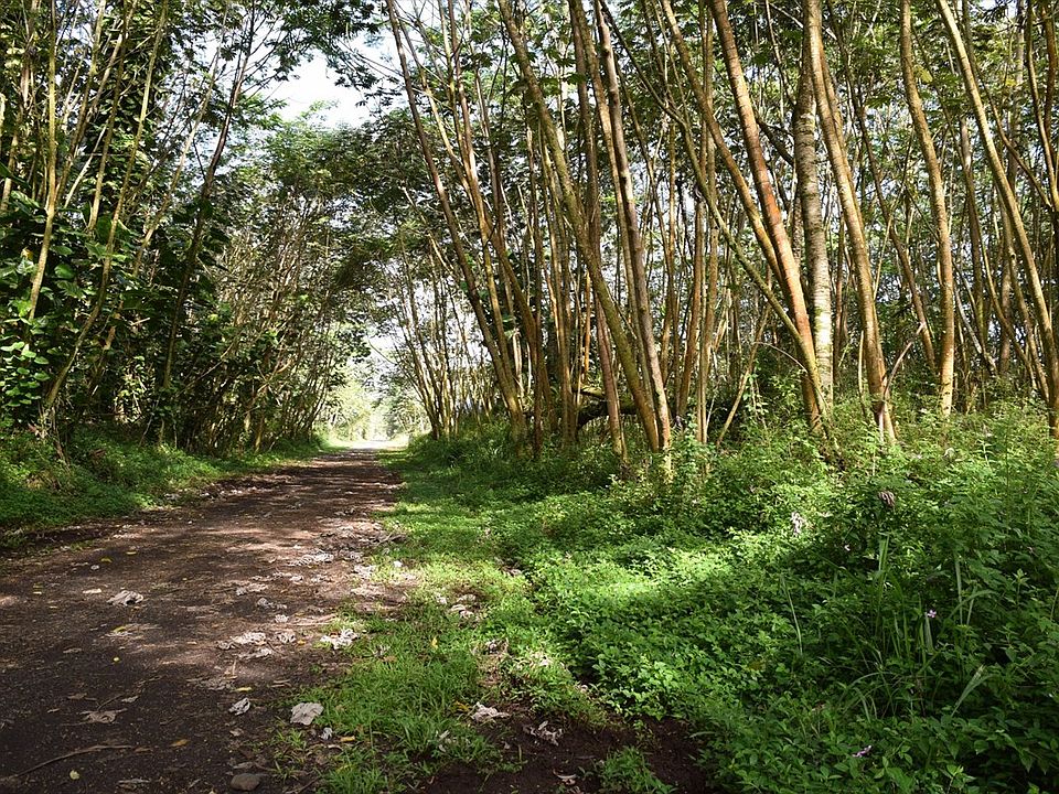 2nd image of Hilo Rd Lot 693