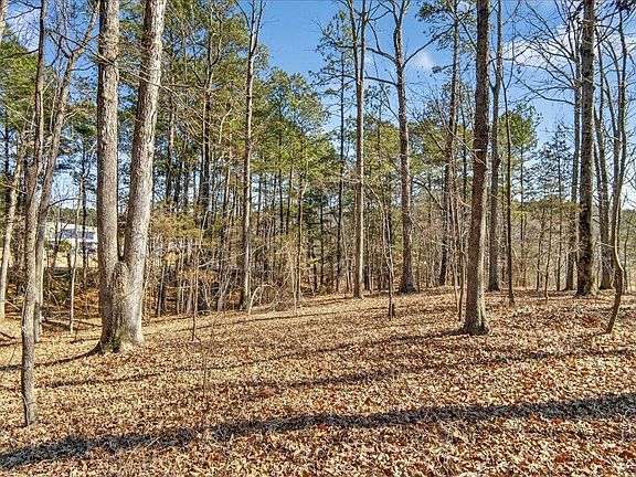 4th image of 0 Globe Rd