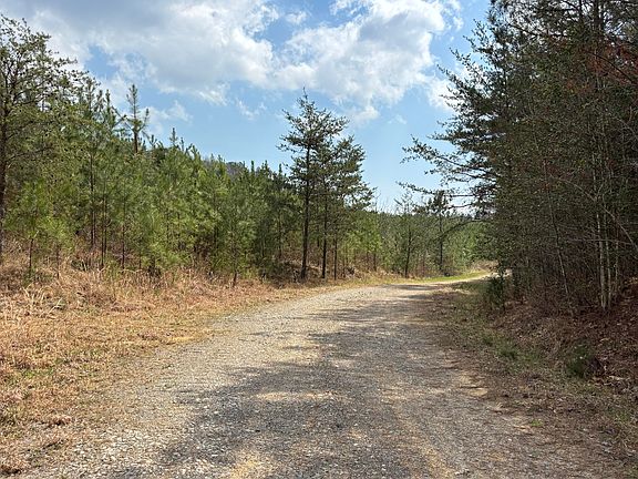 5th image of 1211 Stooping Oak Rd W