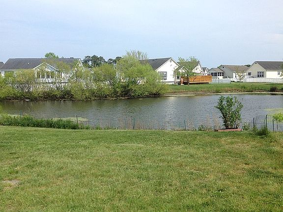 Backyard Pond view