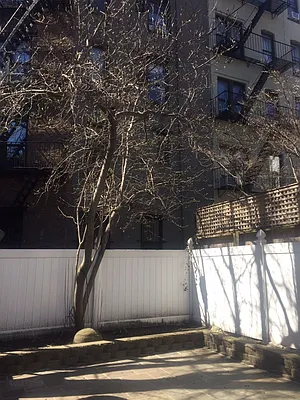 Rented by Compass | media 53