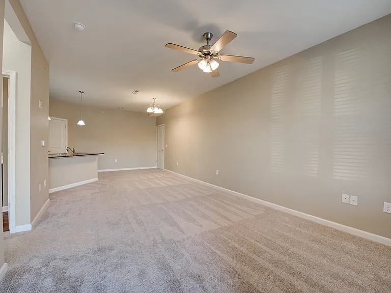 Sycamore Terrace — Photo 9
