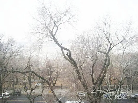 Rented by 24 7 NYC Realty Inc. | media 47