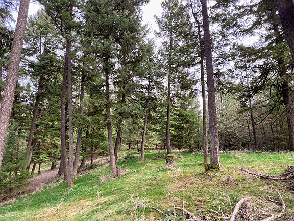 3rd image of 4591 Jepsen Rd