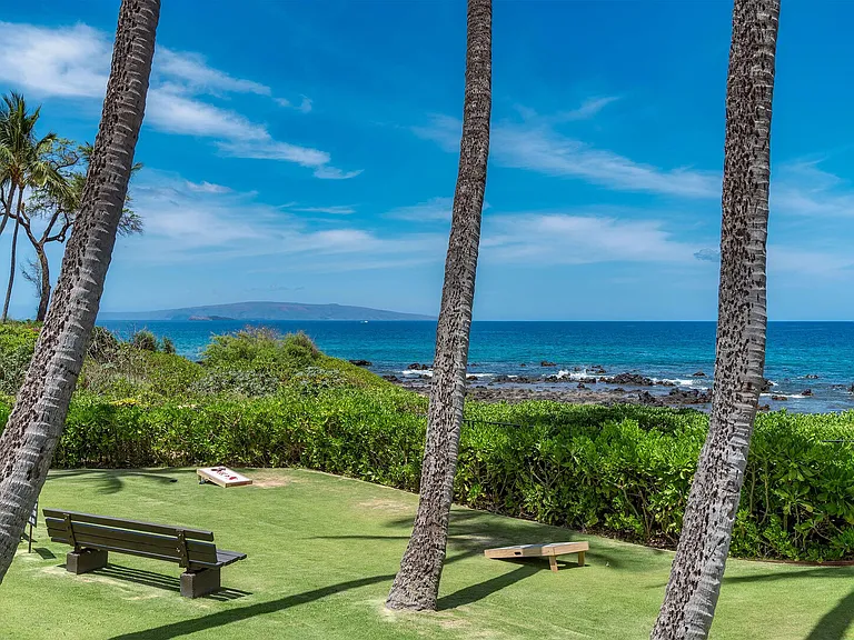 Wailea Alanui Dr — Photo 41