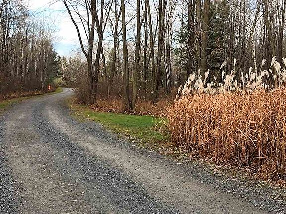 3rd image of 6075 Stettin Dr
