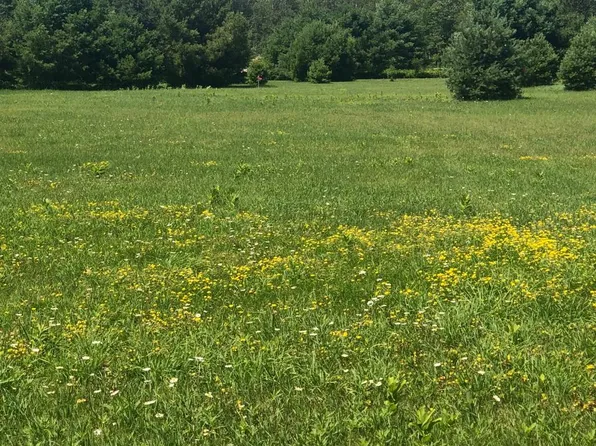 Boyer Rd Lot 5, Mercer, WI 54547