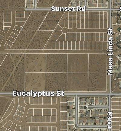 2nd image of Eucalyptus St