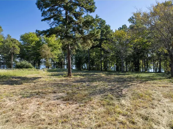 3110 Shadow Pine Dr Lot 5, Larue, TX 75770