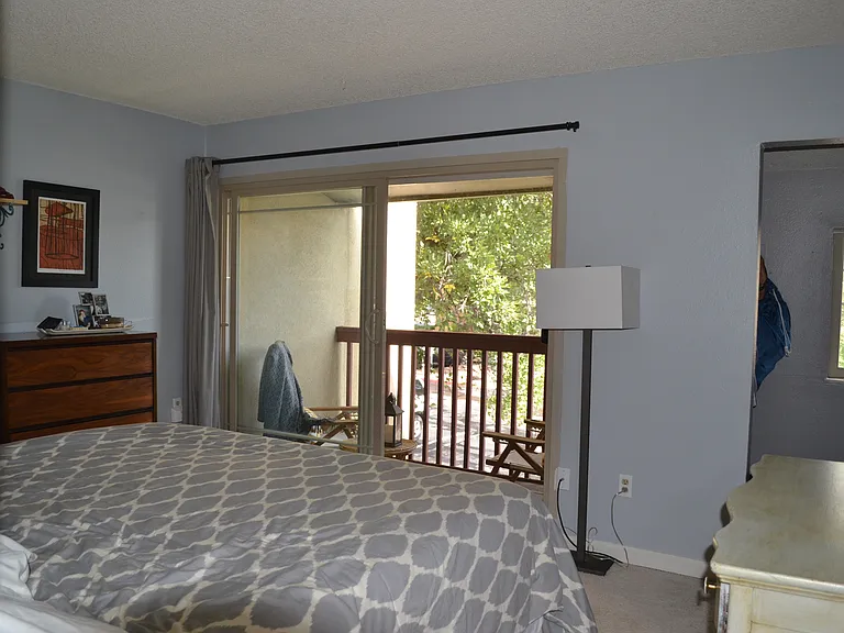 primary bedroom with outdoor balcony and walk in closet