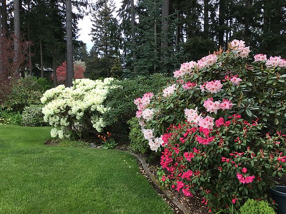 Part of backyard