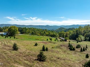 1311 Deer Run Rd, Mountain City, TN 37683