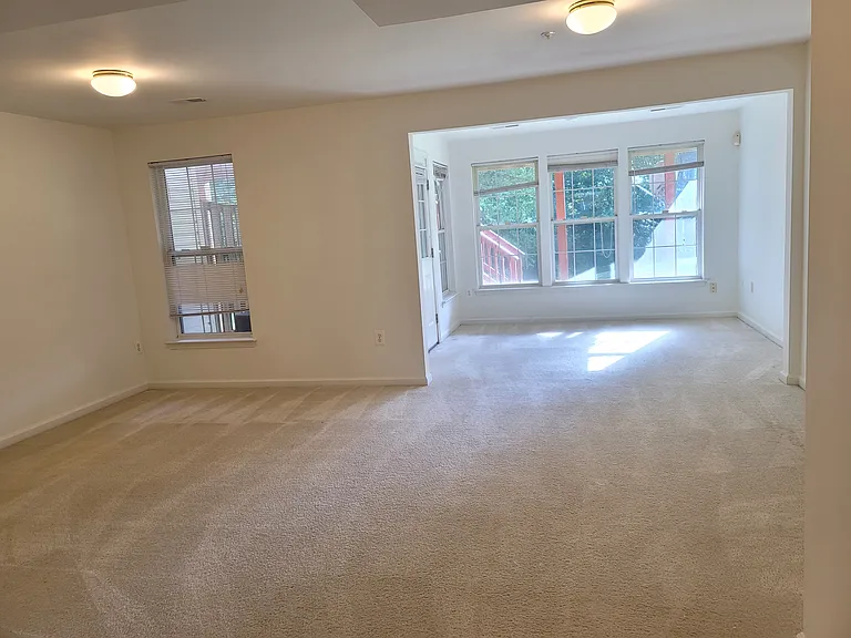 13115 Rosebay Dr — Photo 14