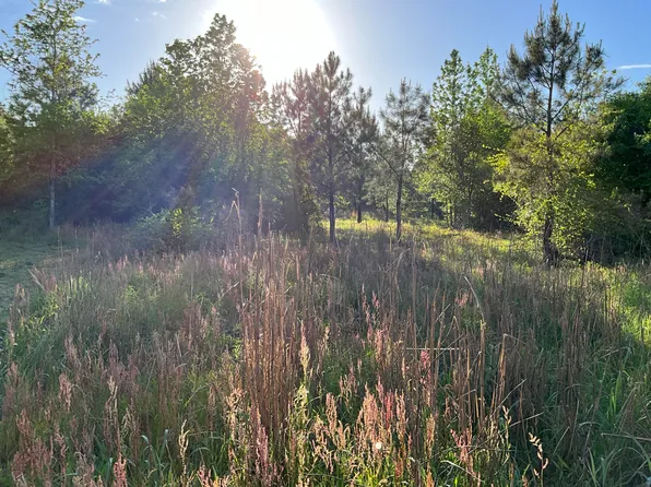 0A Carolina Hwy, Olar, SC 29843