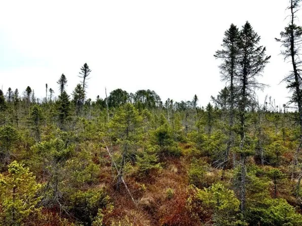 Off Jacks Rd, Phillips, WI 54555